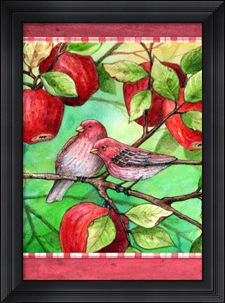 Framed Red Finches With Apples Print