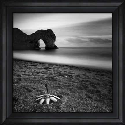 Framed Durdle Feather Print
