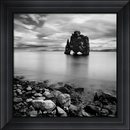 Framed Iceland Dinosaur Print