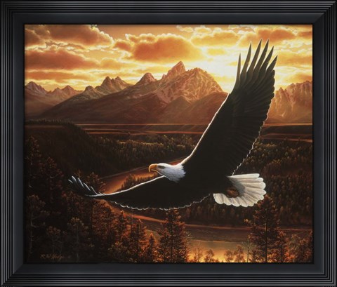 Framed Evening Cruise Print
