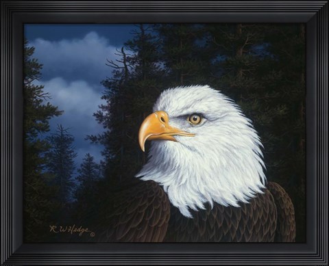 Framed Face Of Freedom Print