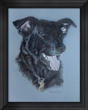 Framed Dog  Four Print