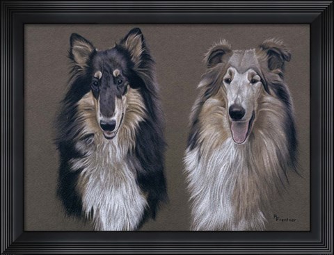 Framed Dog  Seven Print