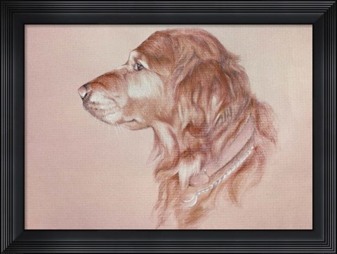 Framed Dog Eight Print