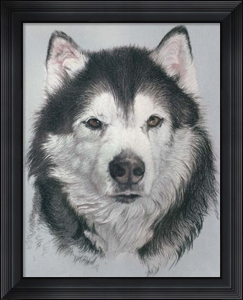 Framed Dog Eleven Print