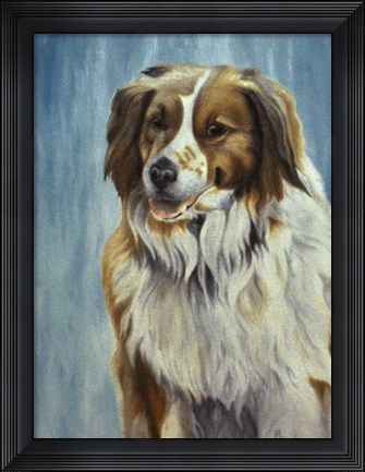 Framed Dog  Twelve Print