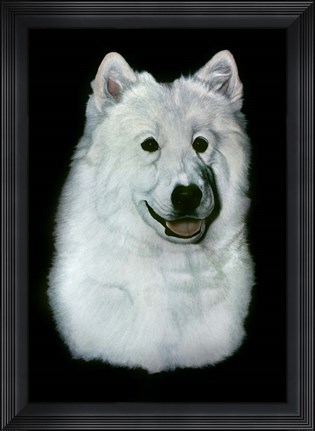 Framed Dog Thirteen Print