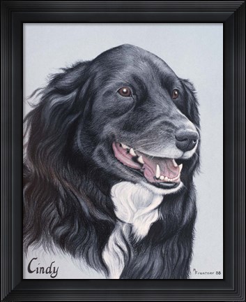 Framed Dog  Fourteen Print
