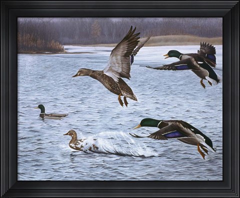 Framed Spring Arrivals Print