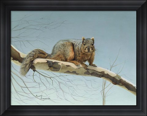 Framed Are You Nuts Print