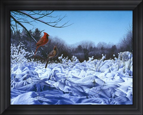 Framed After The Storm Print