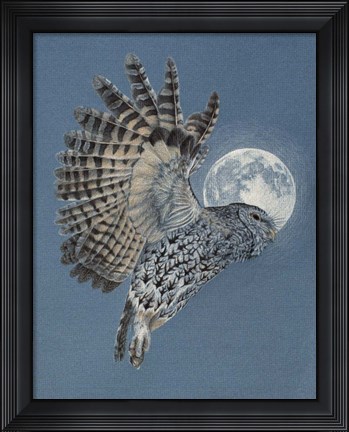 Framed Night Flyer Print