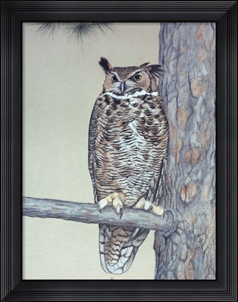 Framed Owl Two Print