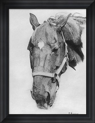 Framed Big Red Print