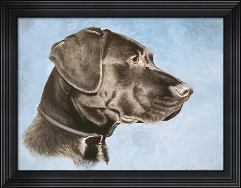 Framed Chocolate Lab Print