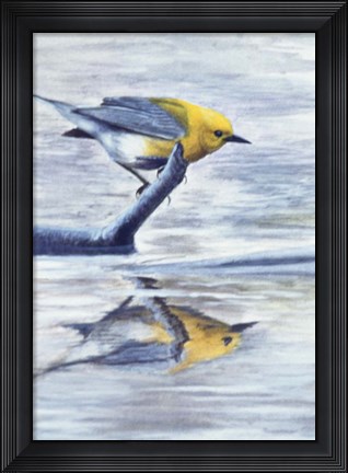 Framed Reflection 2 Print