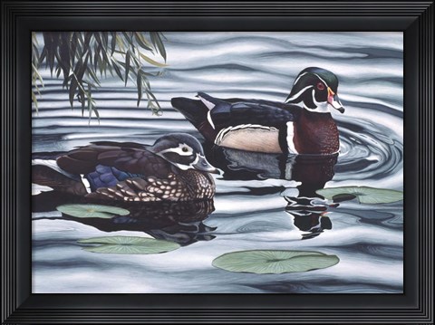 Framed Pair of Ducks Print