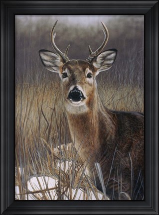 Framed On Guard Print