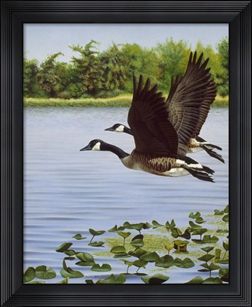 Framed South Bound Journey Print