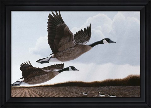 Framed Heavenly Bound Print