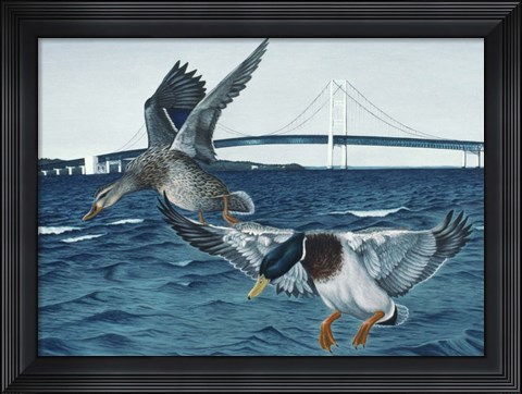 Framed Mackinac Mallards Print