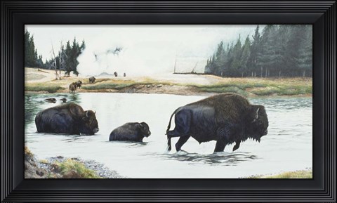 Framed Spirit Of Yellowstone Print