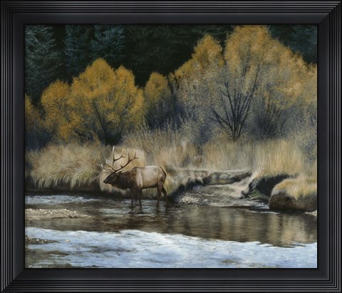 Framed Elk Print