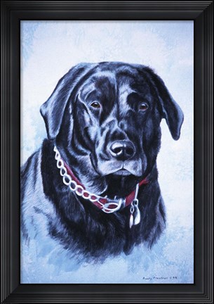 Framed Black Lab Print