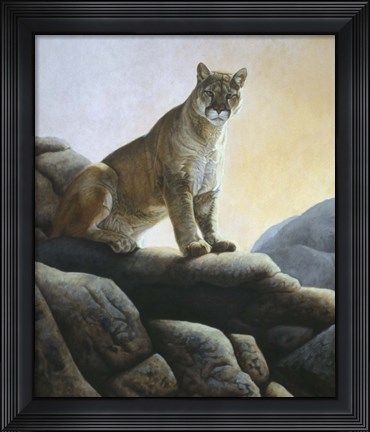 Framed Cougar Print