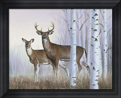 Framed Deer In Birch Woods Print