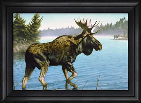 Framed Twig Eater Print