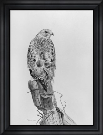 Framed Lookout Print