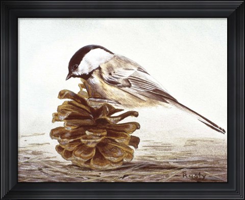 Framed Black - Capped Chickadee Print
