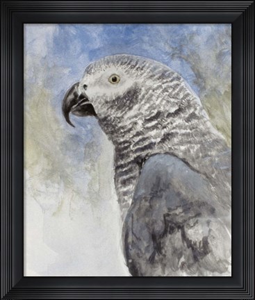Framed Bird - Head Study Print