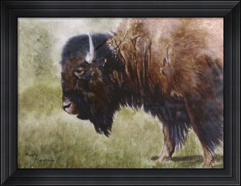 Framed Buffalo Print