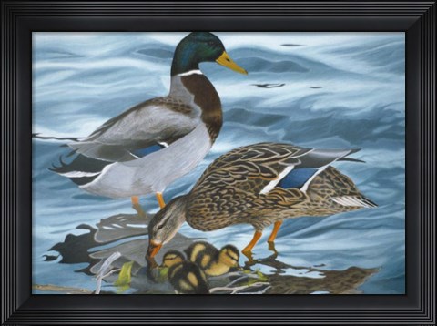 Framed Mallard Family Print