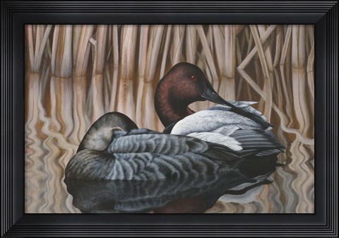 Framed Canvas Backs Print