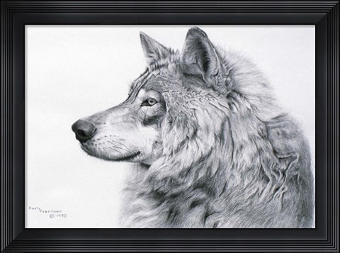 Framed Lanus Lupis Print