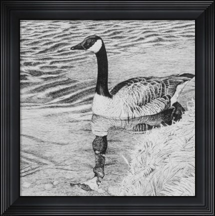 Framed Lone Goose 2 Print