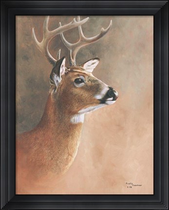 Framed Deer Close-Up Print