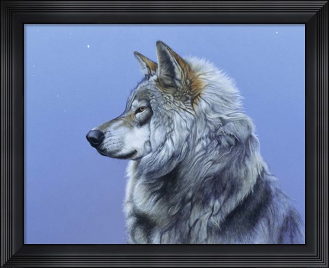 Framed Northern Star Print