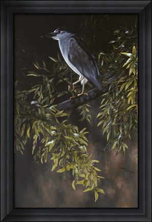 Framed Big Bird Print