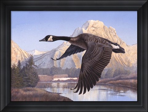 Framed Goose Mtn Print
