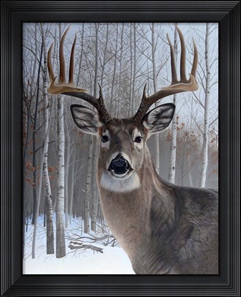 Framed Deer Print