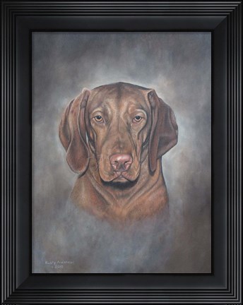 Framed Visula Print