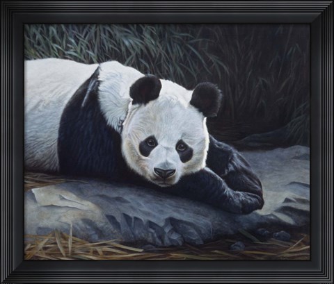 Framed Panda Print