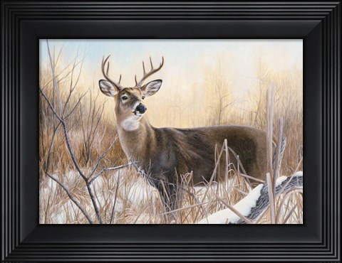 Framed Big Buck Print