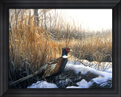 Framed Pheasant Print