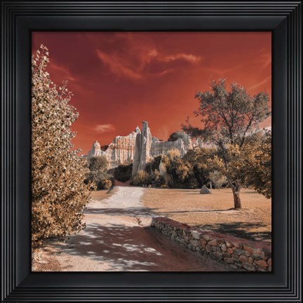 Framed IRadiation Print