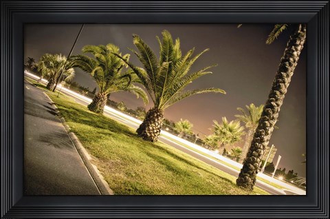 Framed Summer Night Print